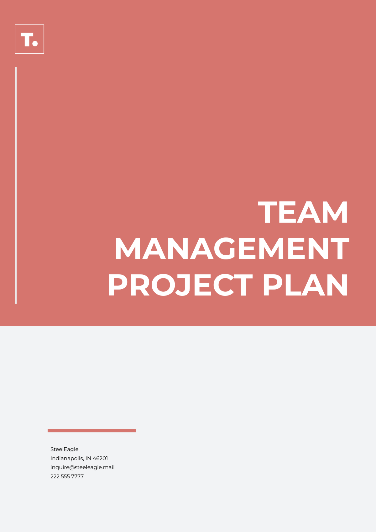 Team Management Project Plan Template - Edit Online & Download