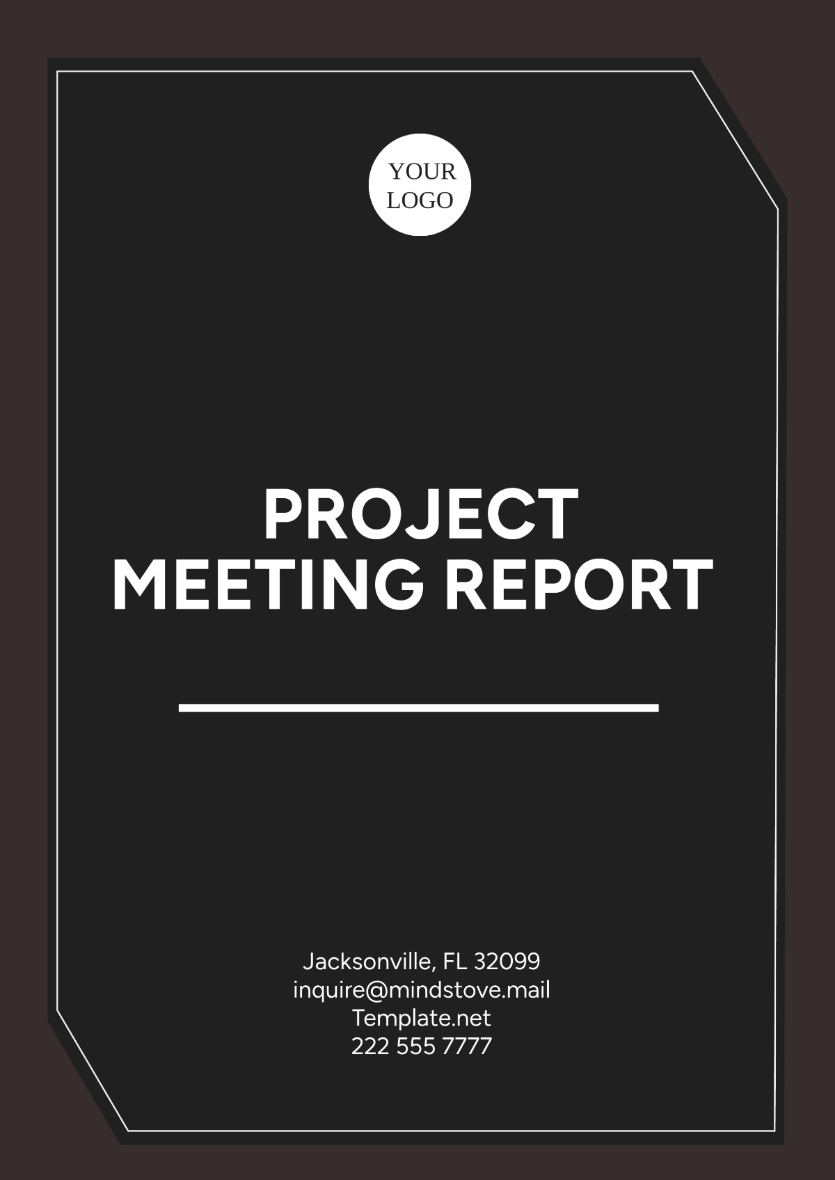 Project Meeting Report Template