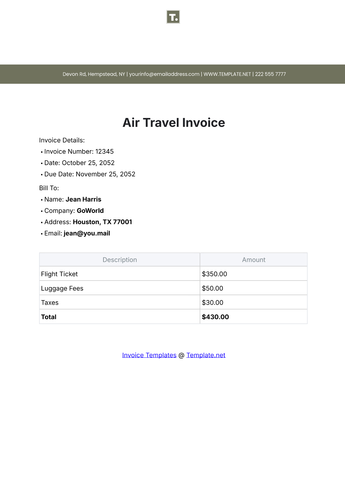 Air Travel Invoice Template