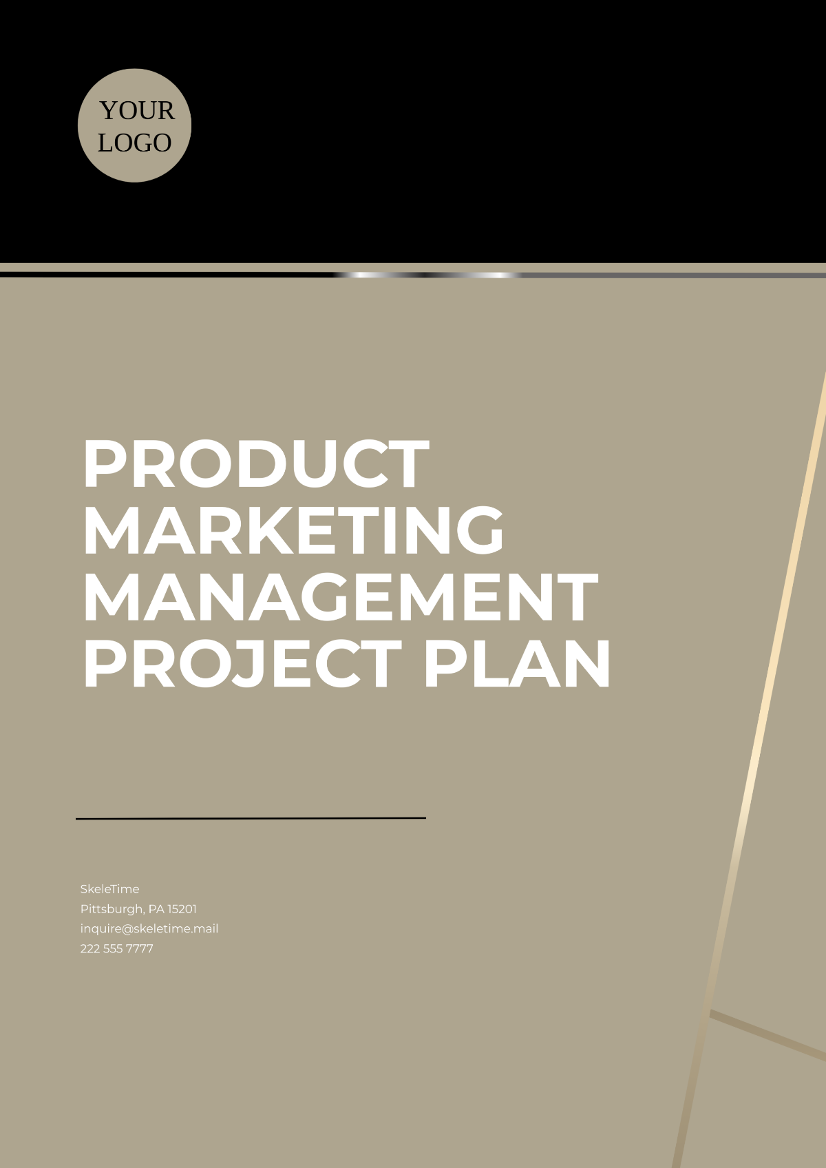 Product Marketing Management Project Plan Template - Edit Online & Download