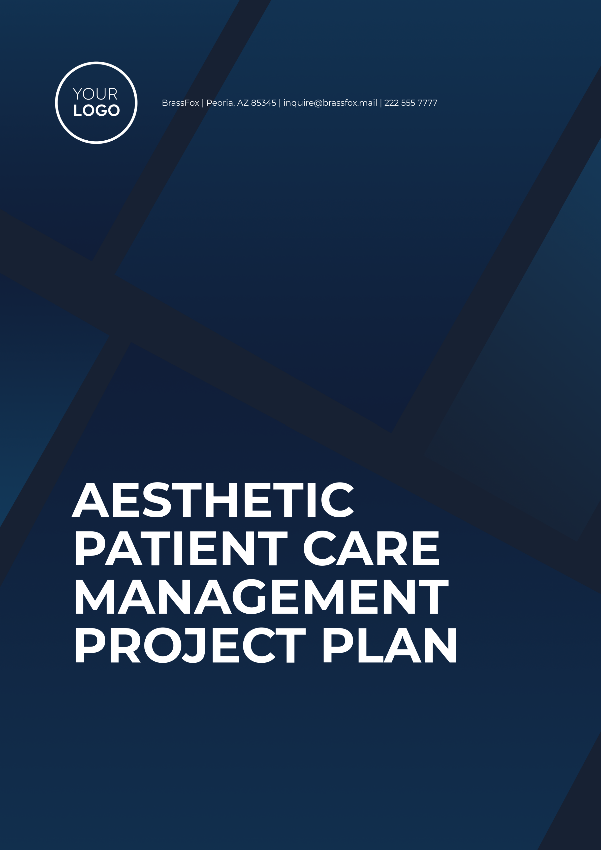 Aesthetic Patient Care Management Project Plan Template - Edit Online & Download