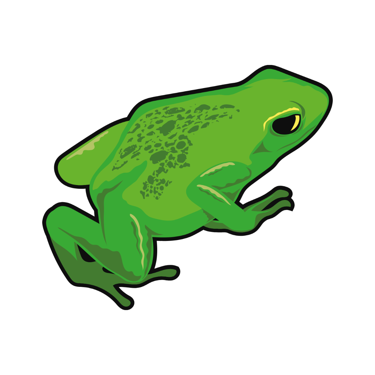 Free Realistic Frog Clipart Template