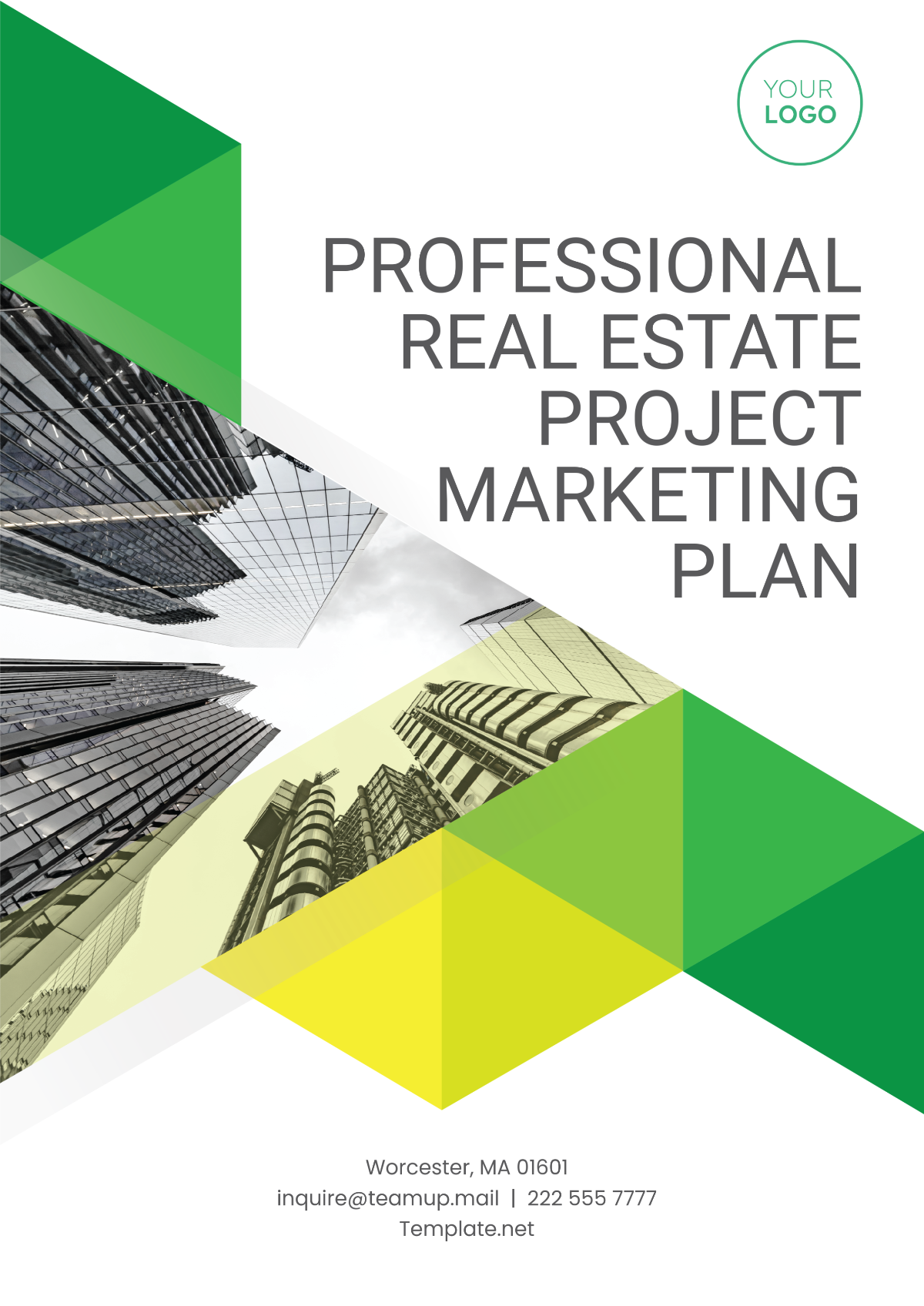 Professional Real Estate Project Marketing Plan Template - Edit Online & Download