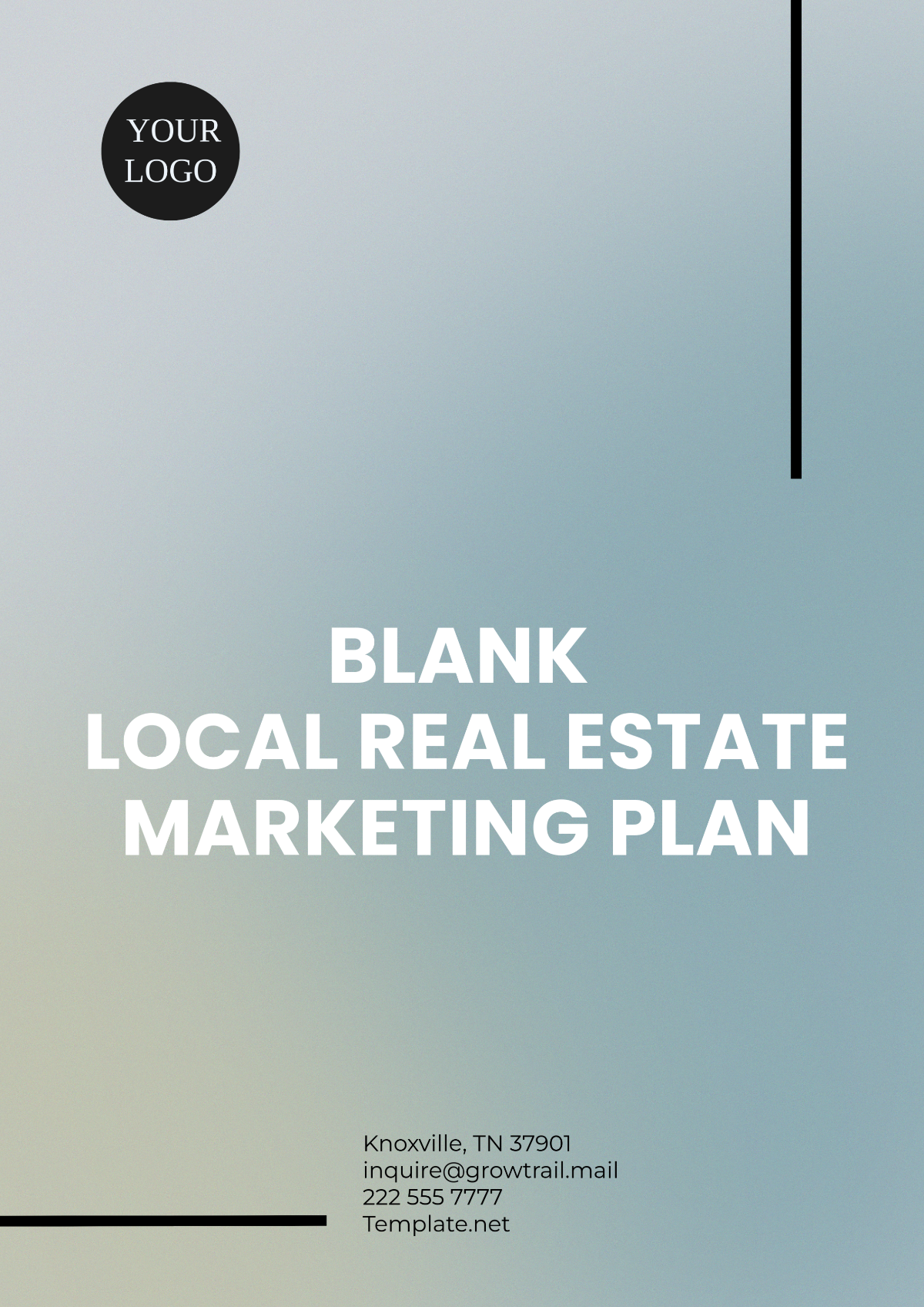 Free Blank Local Real Estate Marketing Plan Template