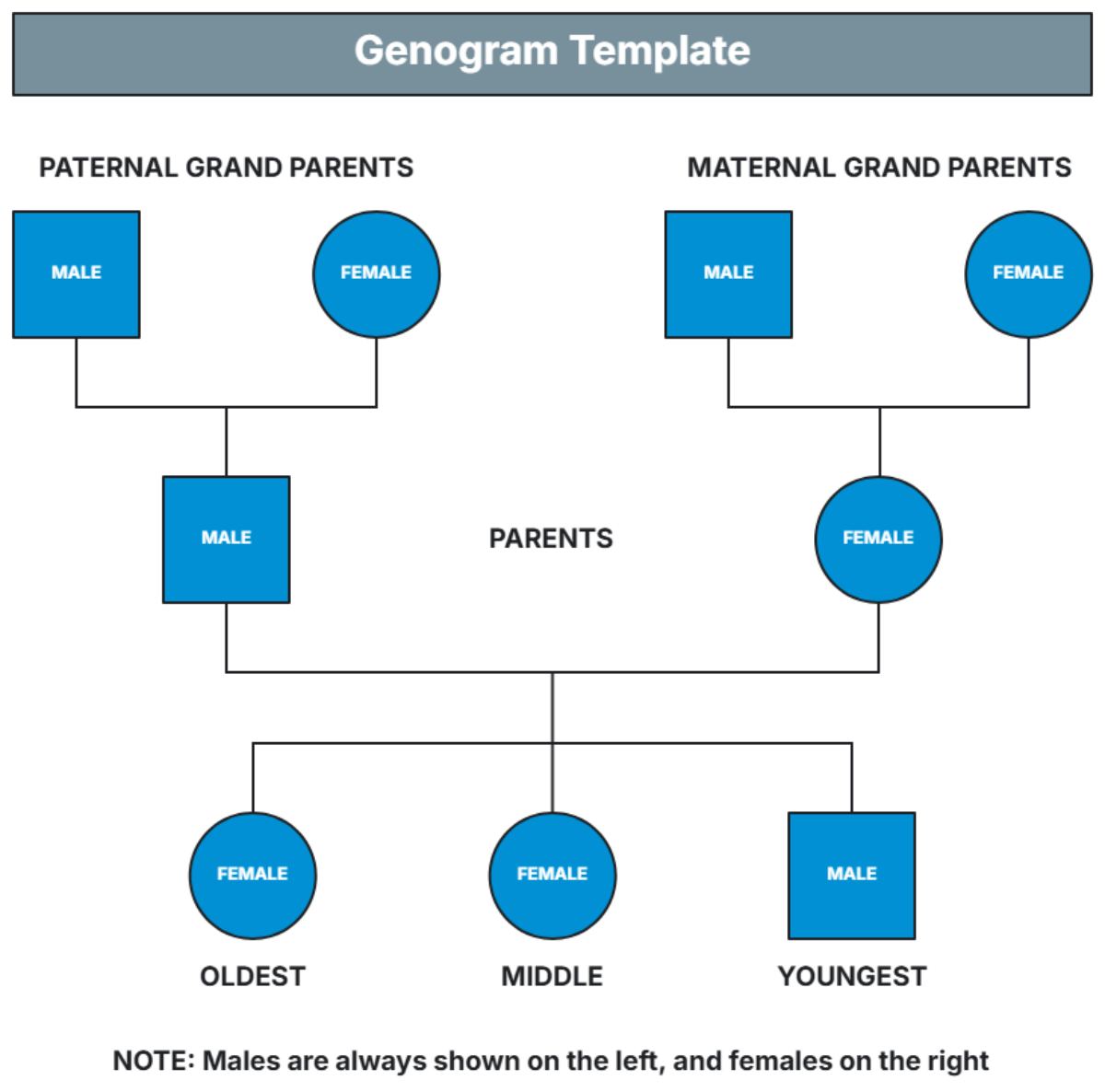 Genogram Template - Edit Online & Download