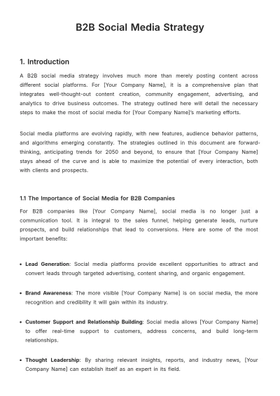Free B2B Social Media Strategy Template to Edit Online