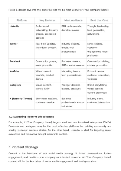 Free B2B Social Media Strategy Template to Edit Online