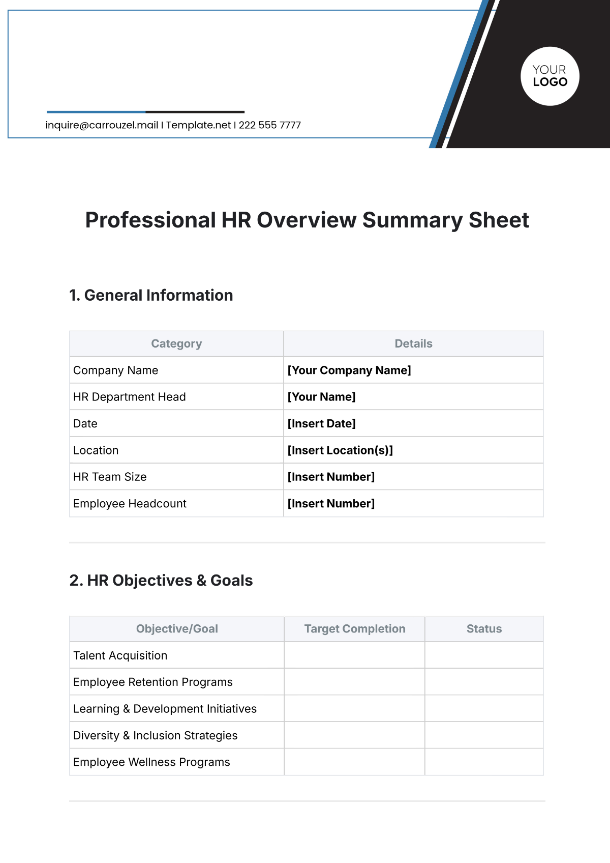 Professional HR Overview Summary Sheet Template