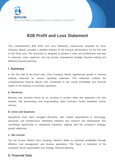 Free B2B Profit and Loss Statement Template to Edit Online