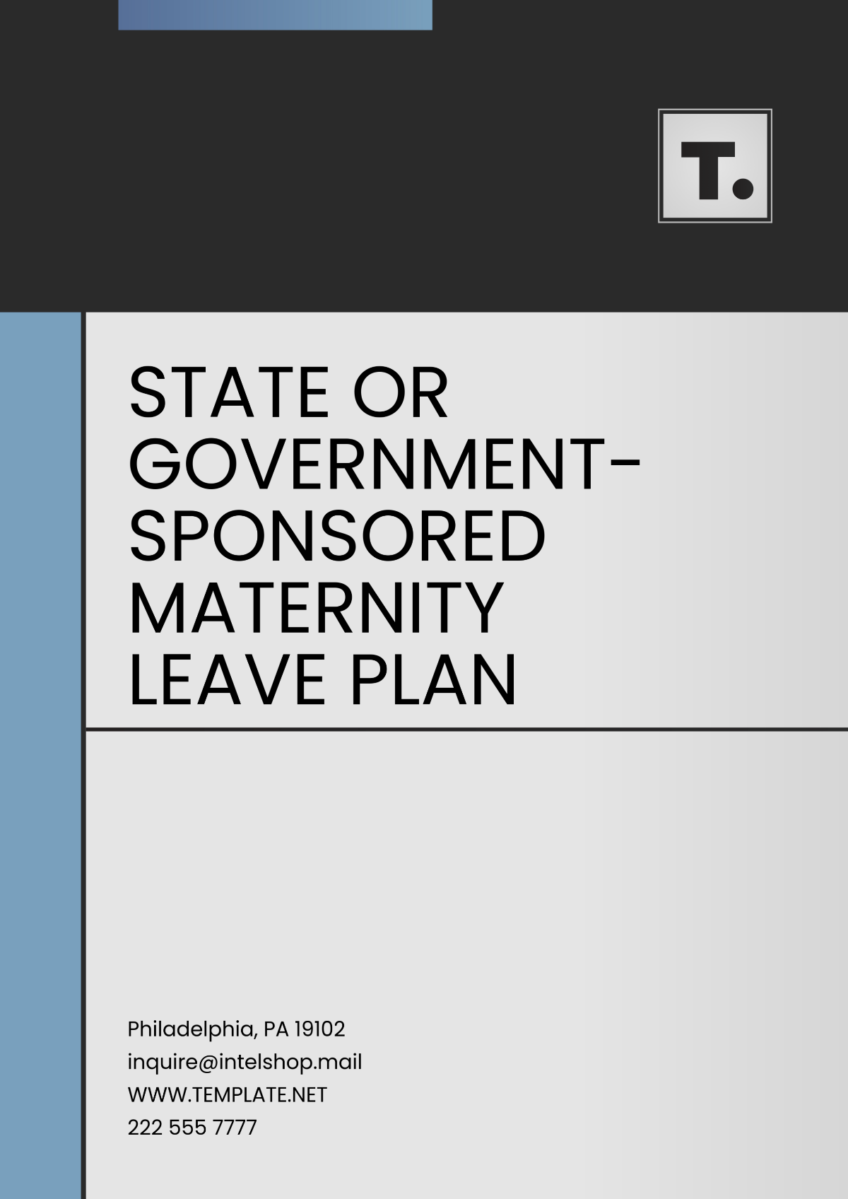 State or Government-Sponsored Maternity Leave Plan Template