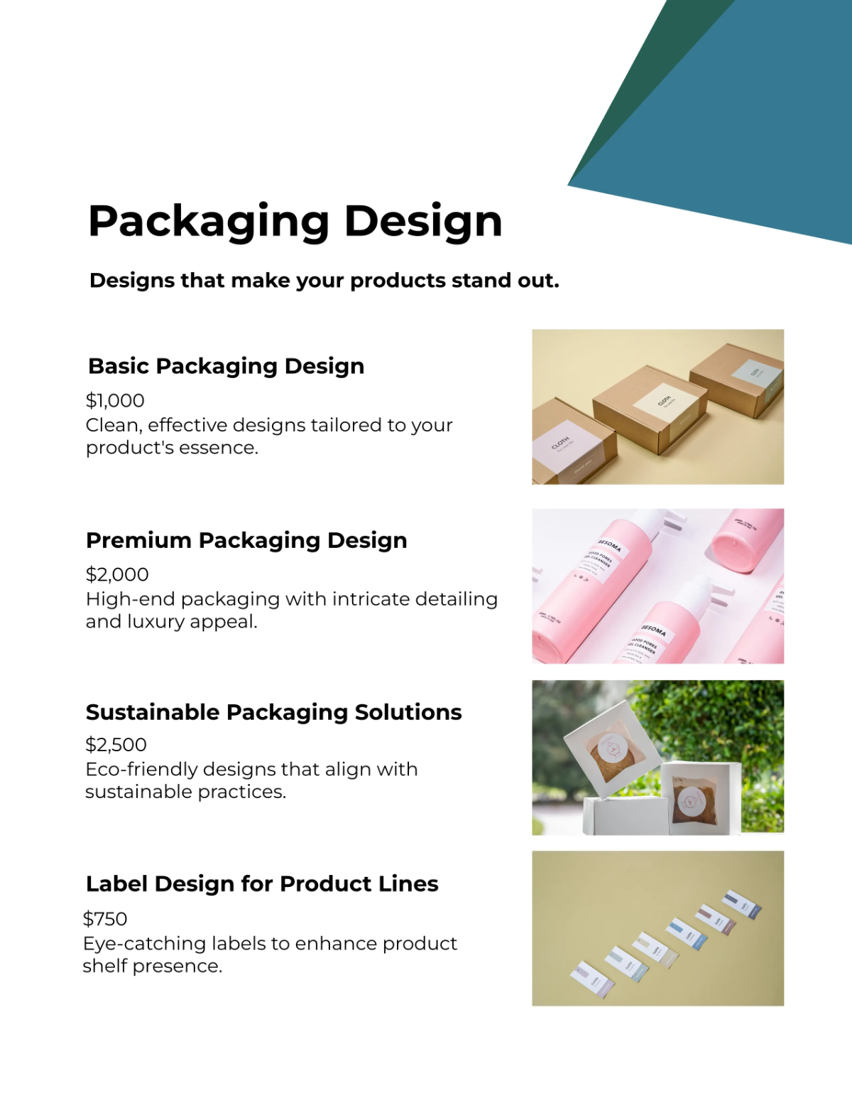 Free Brand Catalog Template to Edit Online