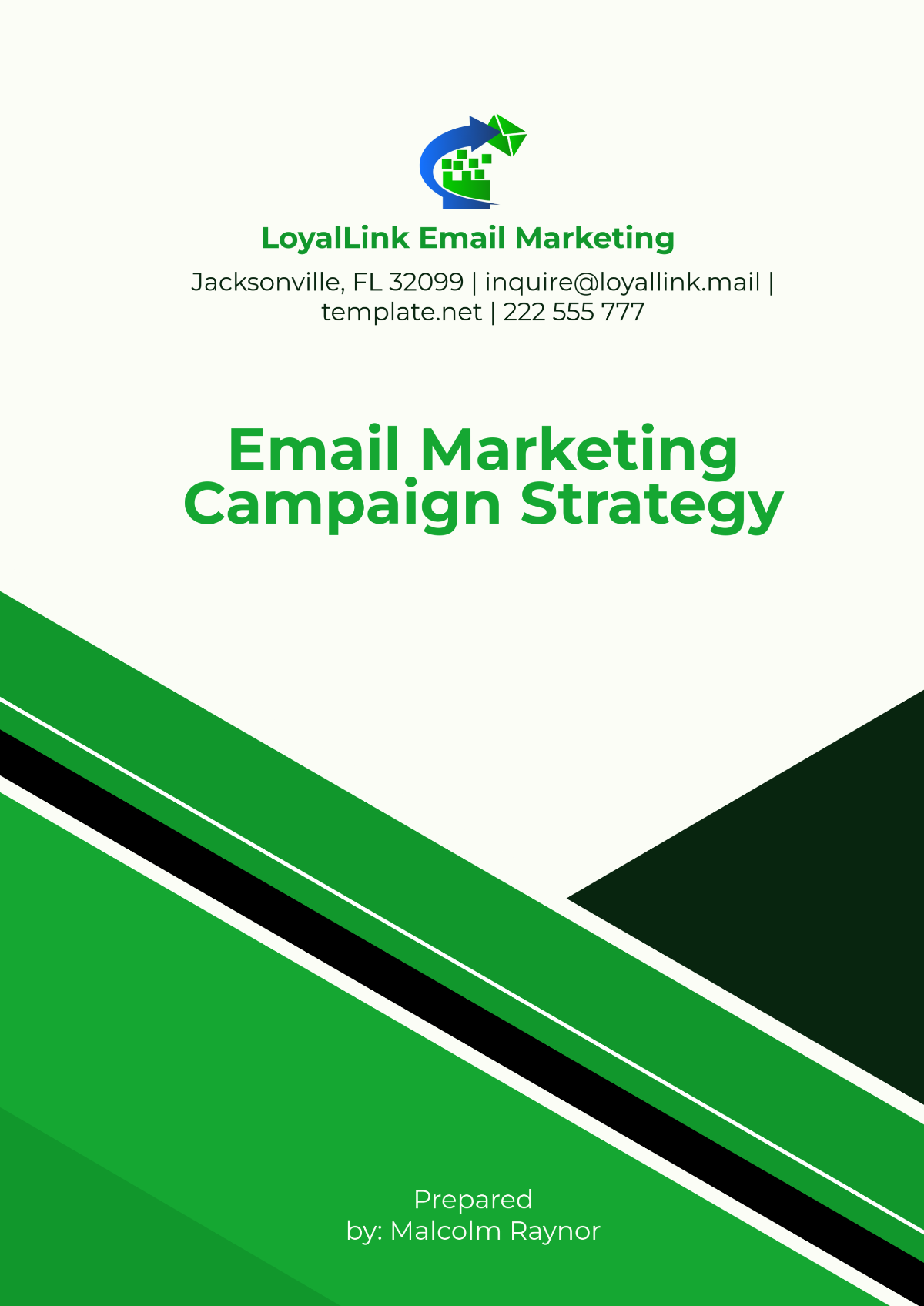 Email Marketing Campaign Strategy Template - Edit Online & Download