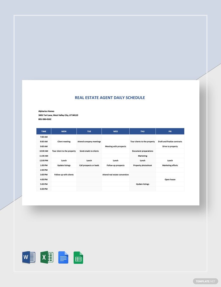 Real Estate Agent Daily Schedule Template