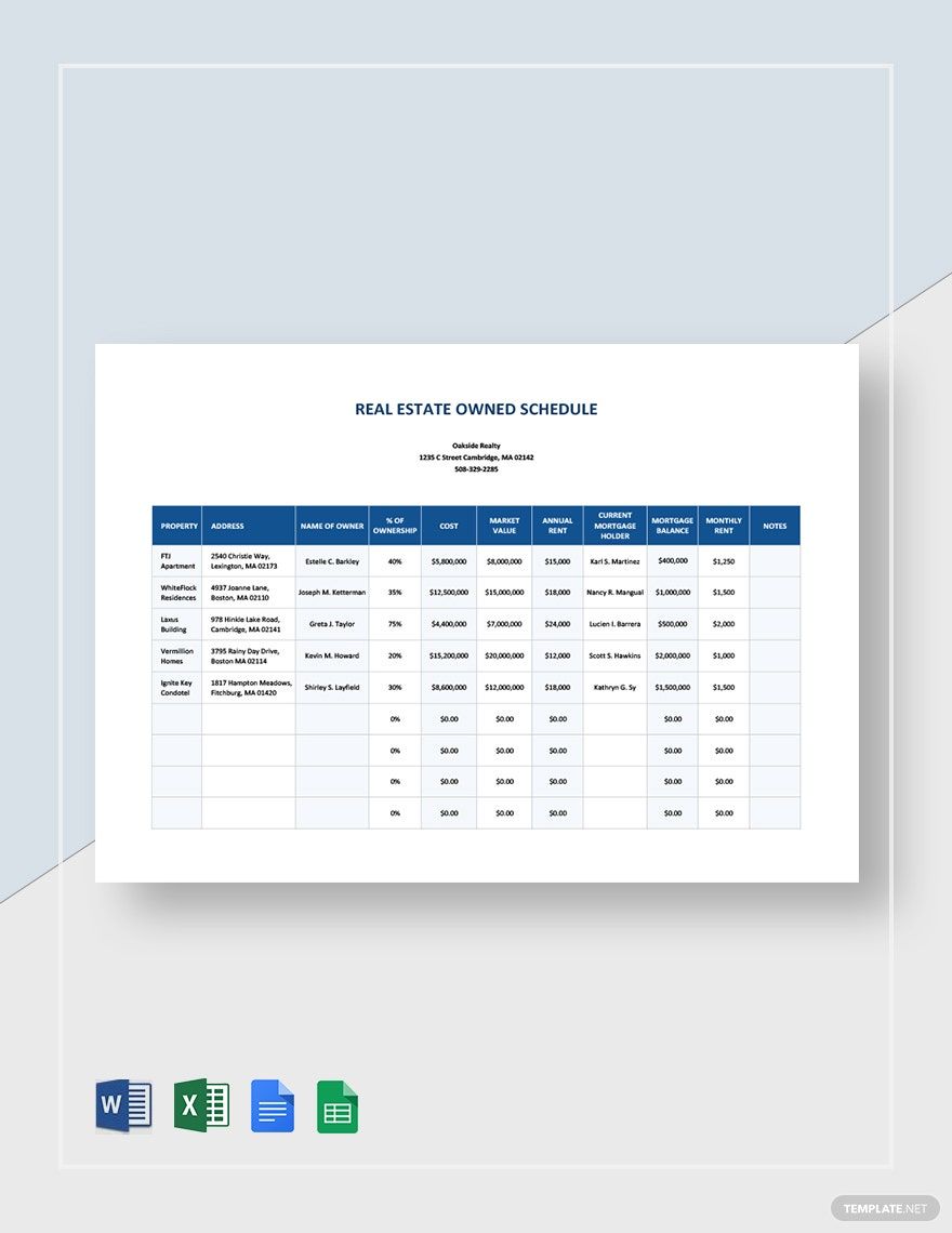 Real Estate Owned Schedule Template Google Docs, Google Sheets, Excel