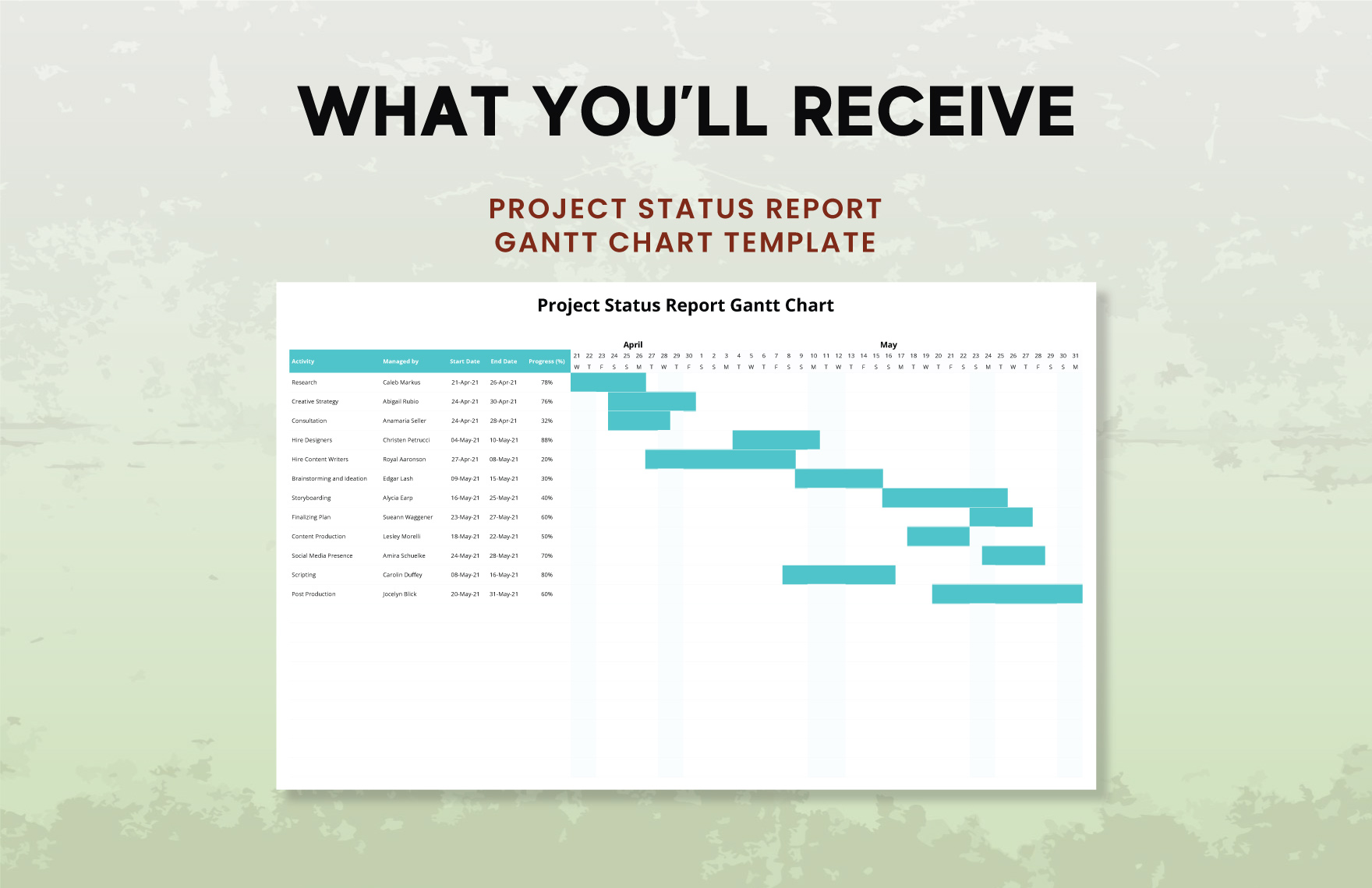 Project Status Report Gantt Chart Template