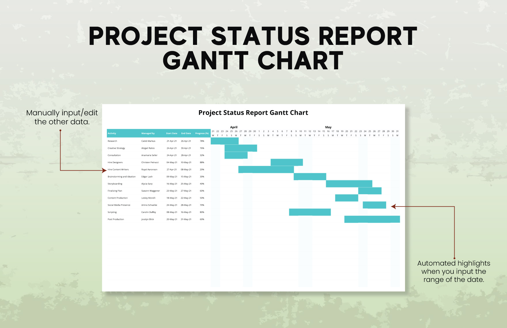 Project Status Report Gantt Chart Template