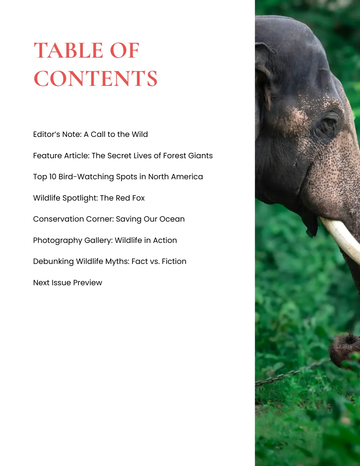 Free Wildlife Magazine Template to Edit Online