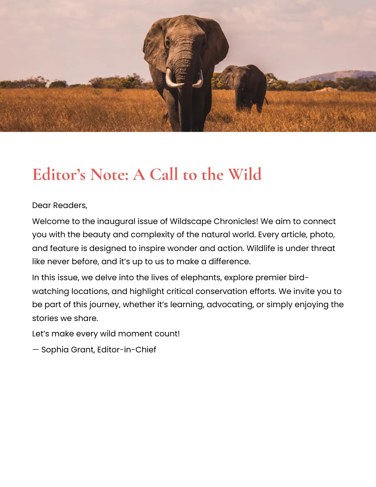Free Wildlife Magazine Template to Edit Online