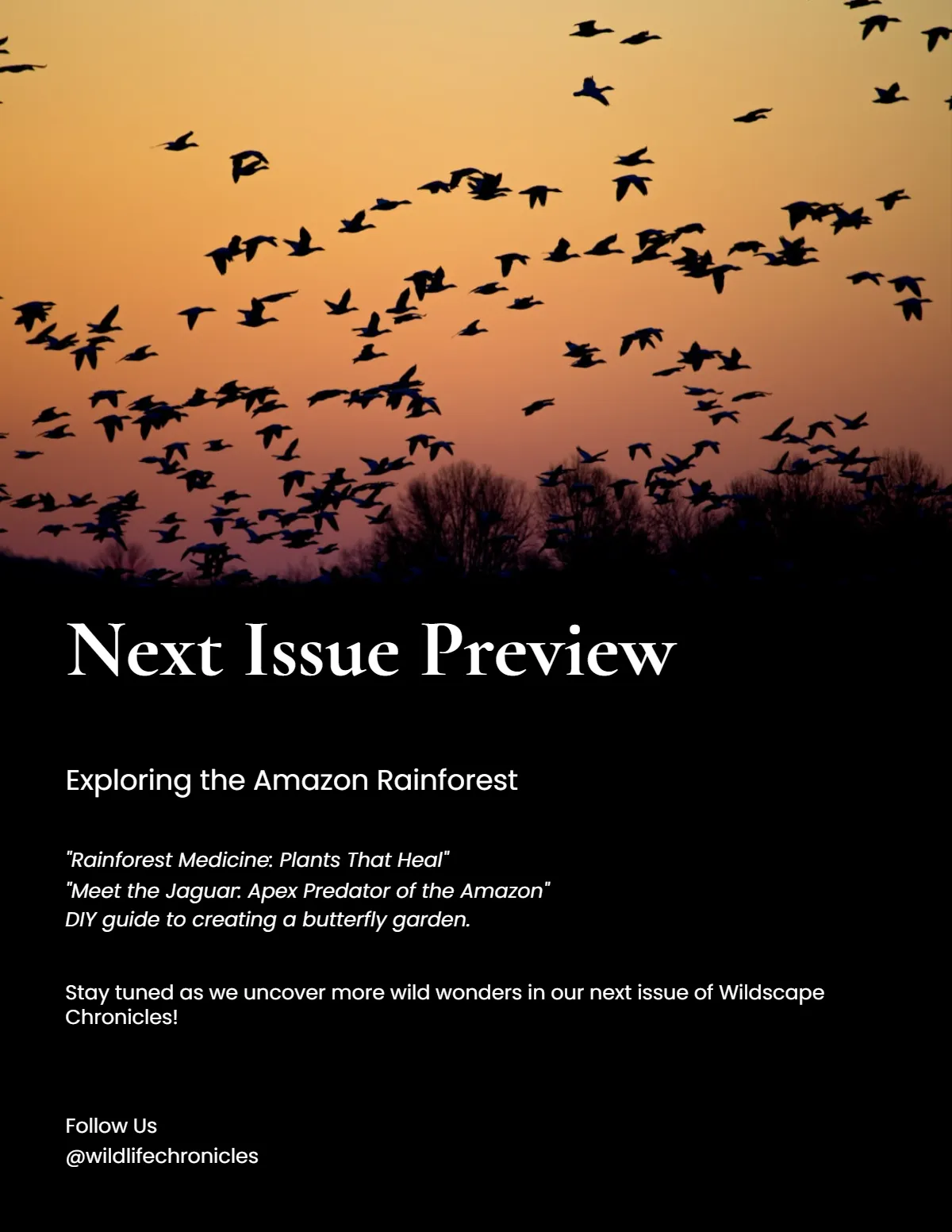 Free Wildlife Magazine Template to Edit Online