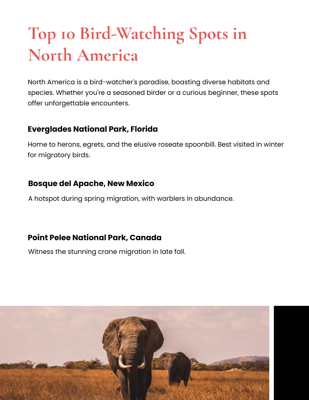 Free Wildlife Magazine Template to Edit Online