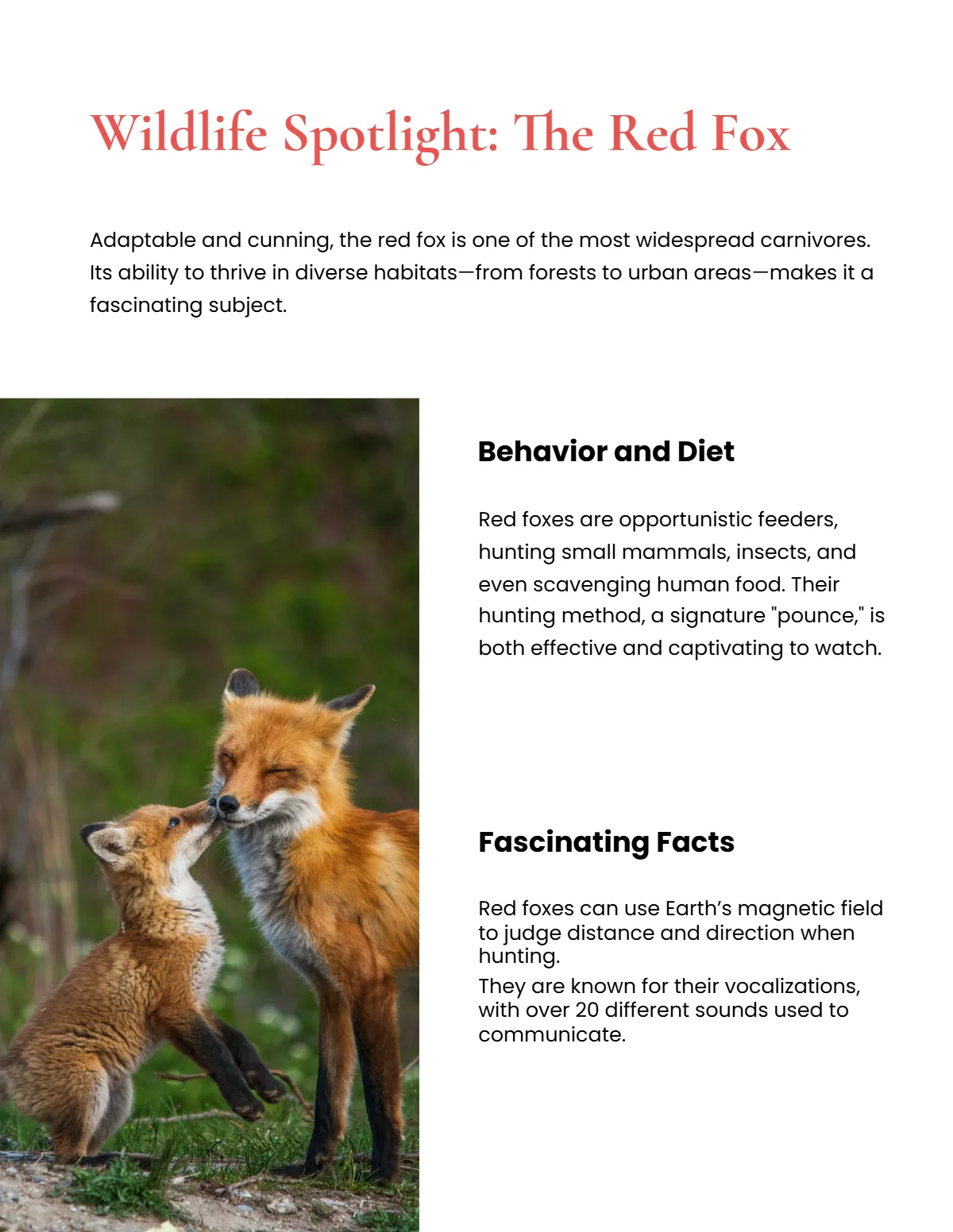 Free Wildlife Magazine Template to Edit Online