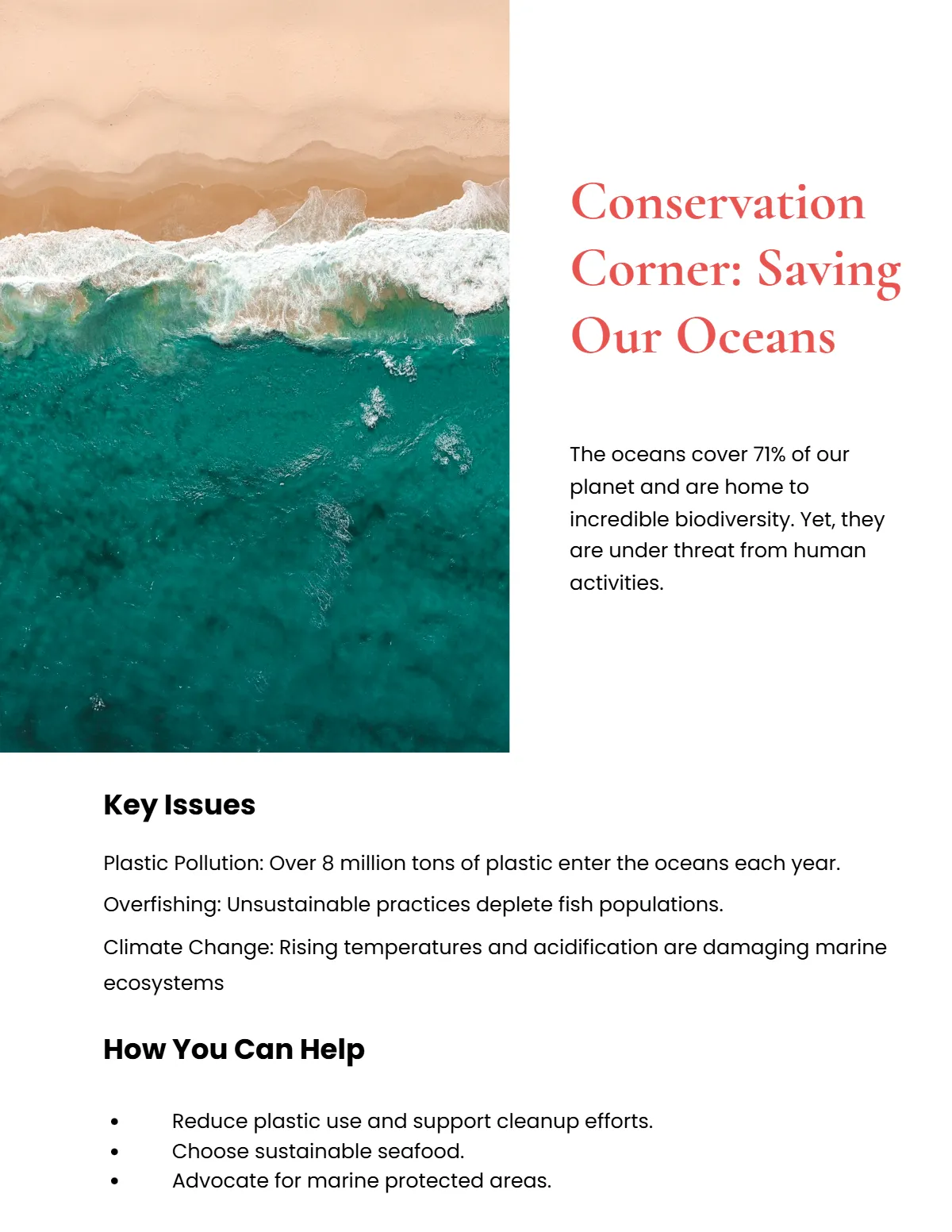 Free Wildlife Magazine Template to Edit Online