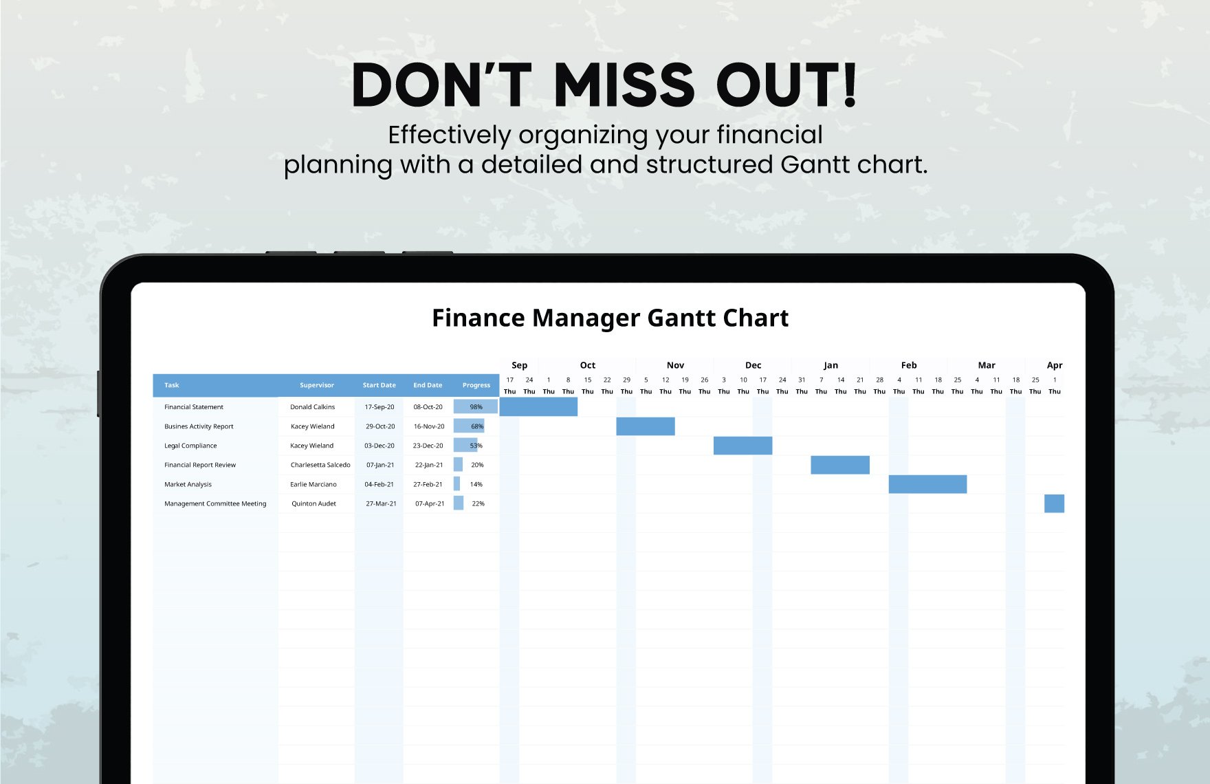 Finance Manager Gantt Chart Template