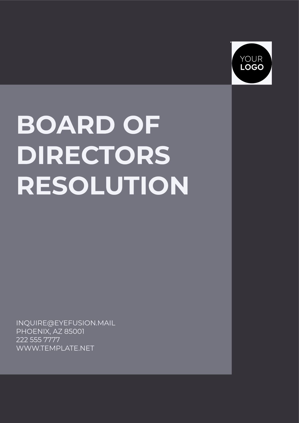 Board of Directors Resolution Outline Template