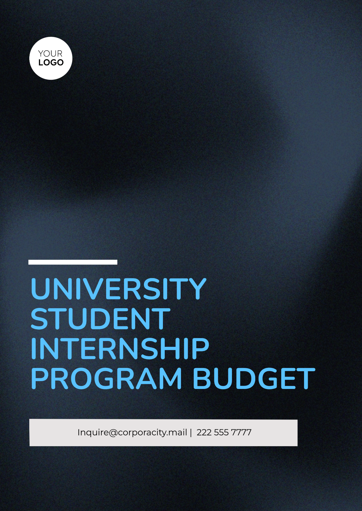 University Student Internship Program Budget Template - Edit Online & Download