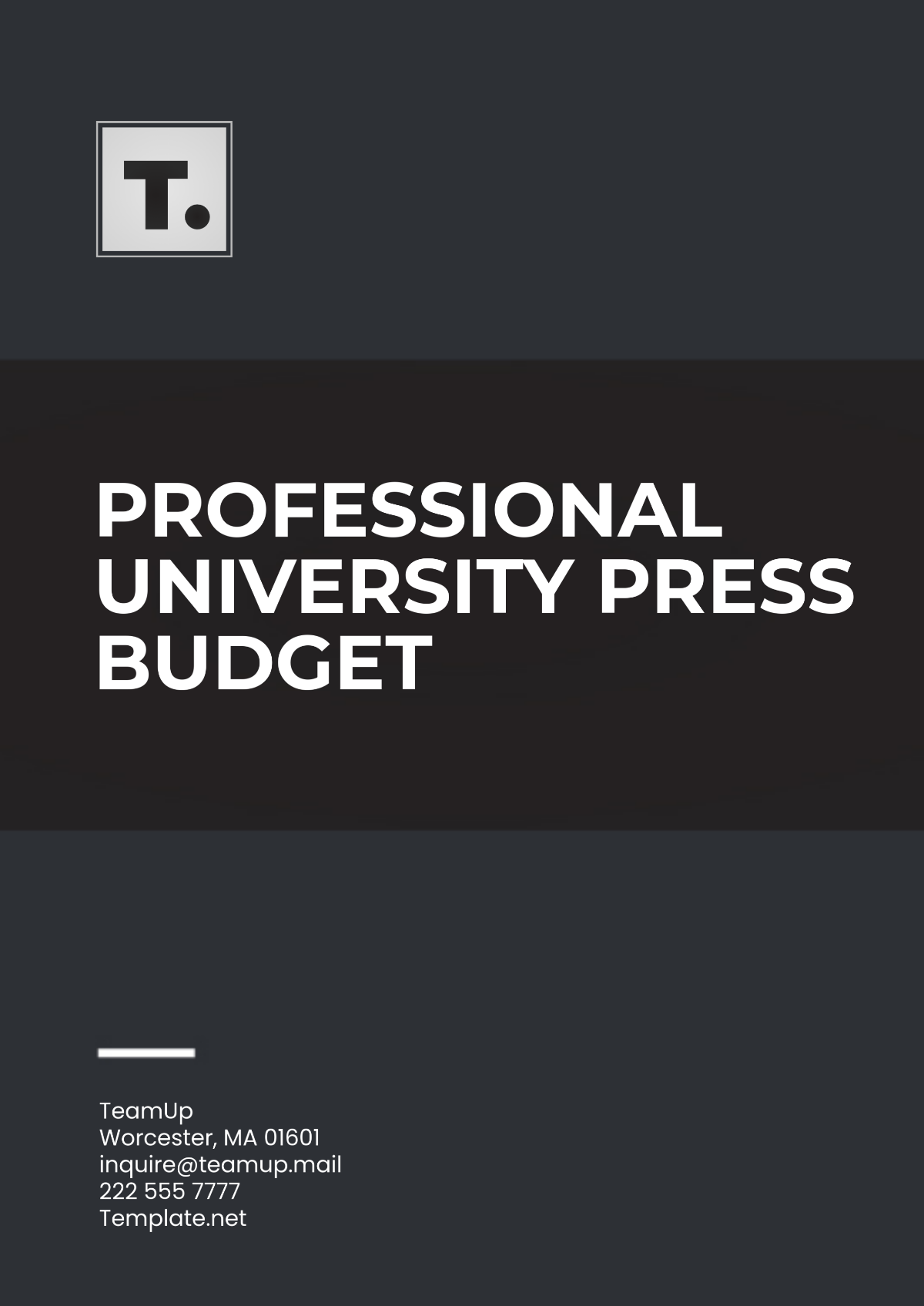 Professional University Press Budget Template - Edit Online & Download