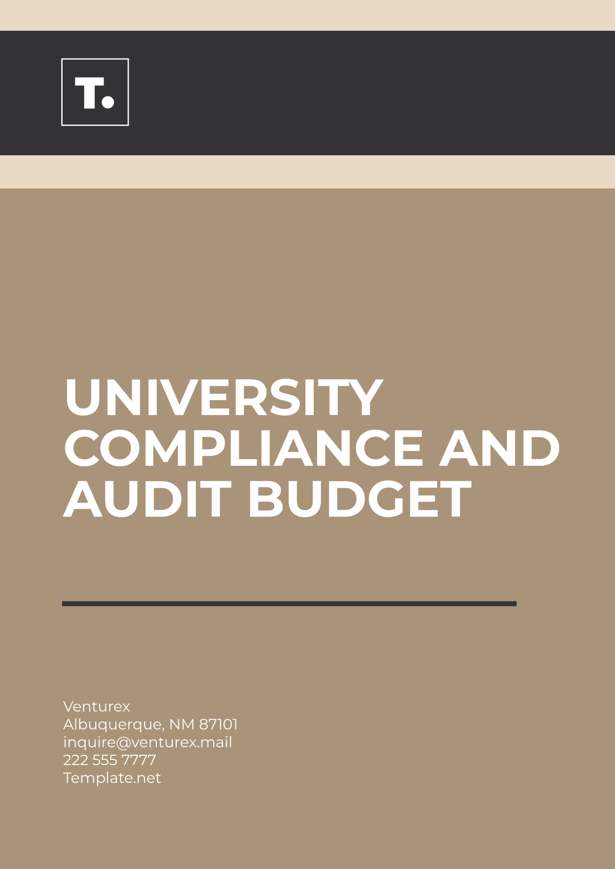 University  Compliance and Audit Budget Template - Edit Online & Download