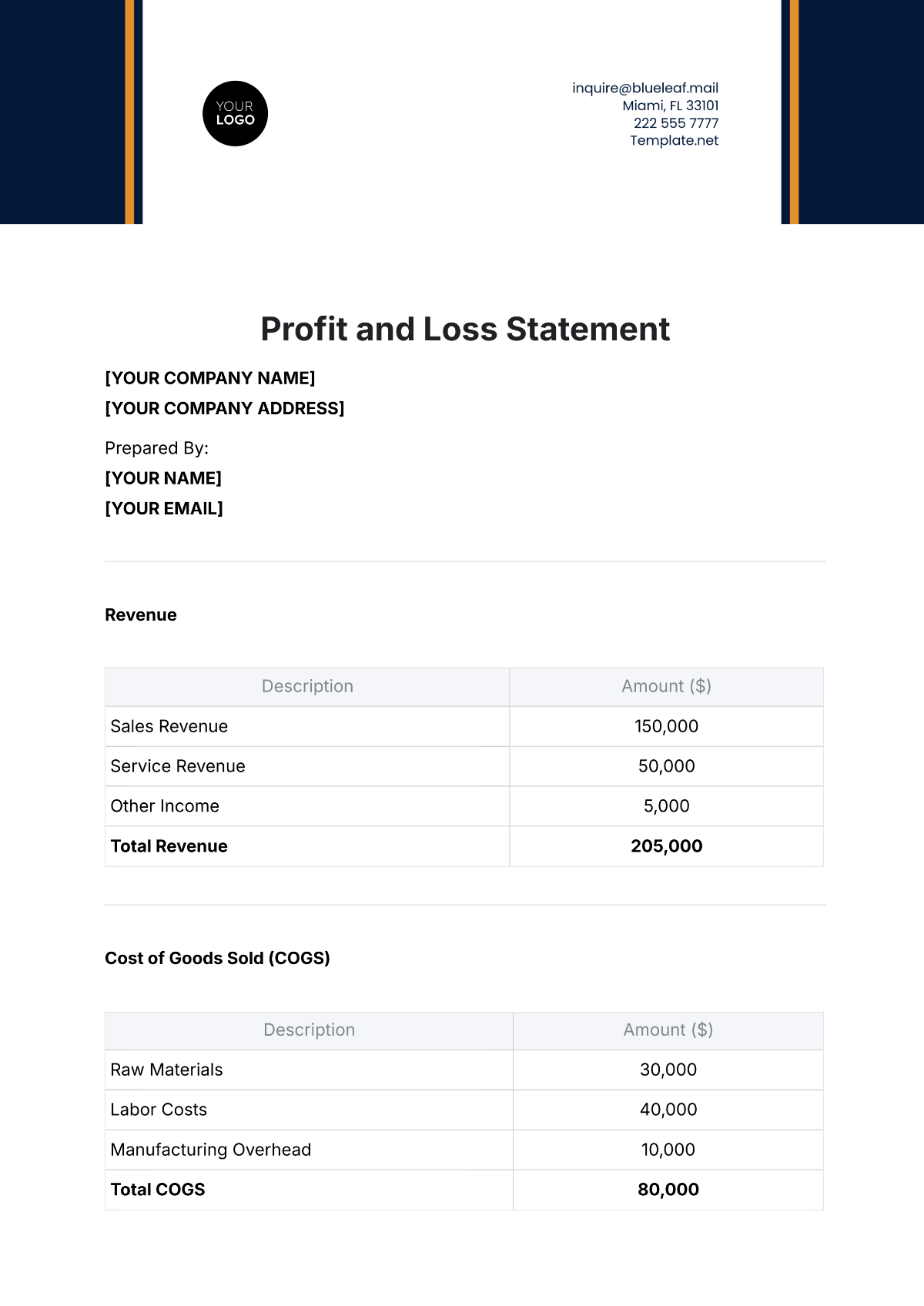 Profit and Loss Statement Template