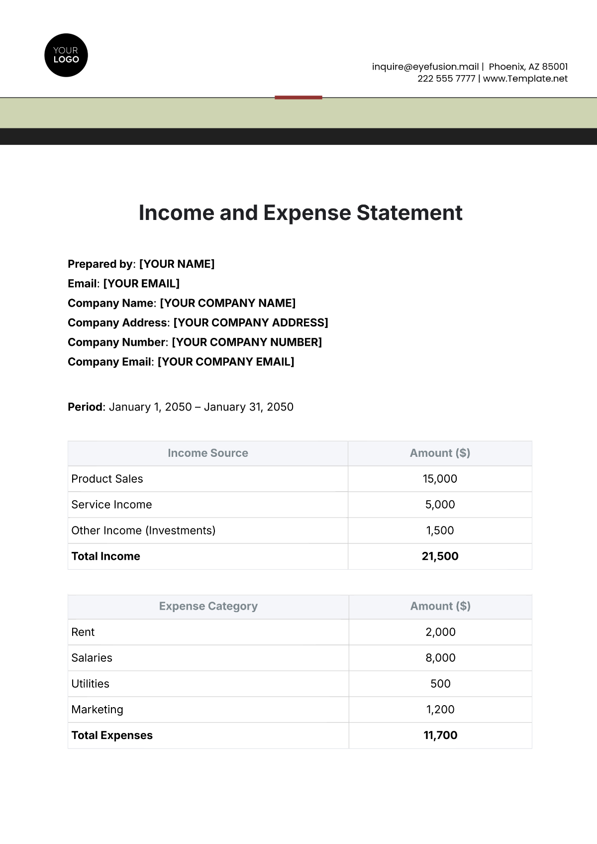 Income and Expense Statement Template