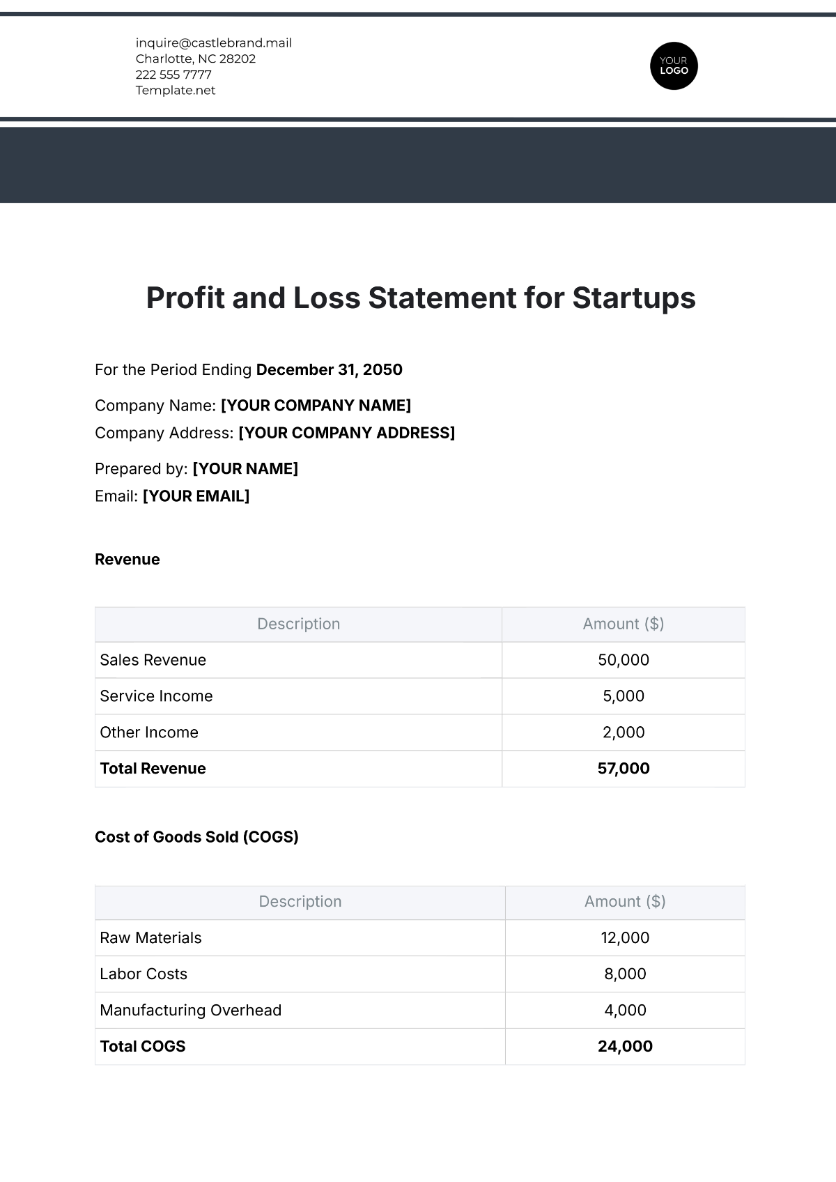 Profit and Loss Statement for Startups Template - Edit Online & Download