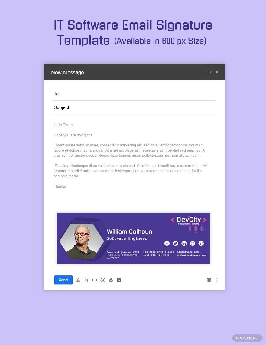 IT Software Email Signature Template