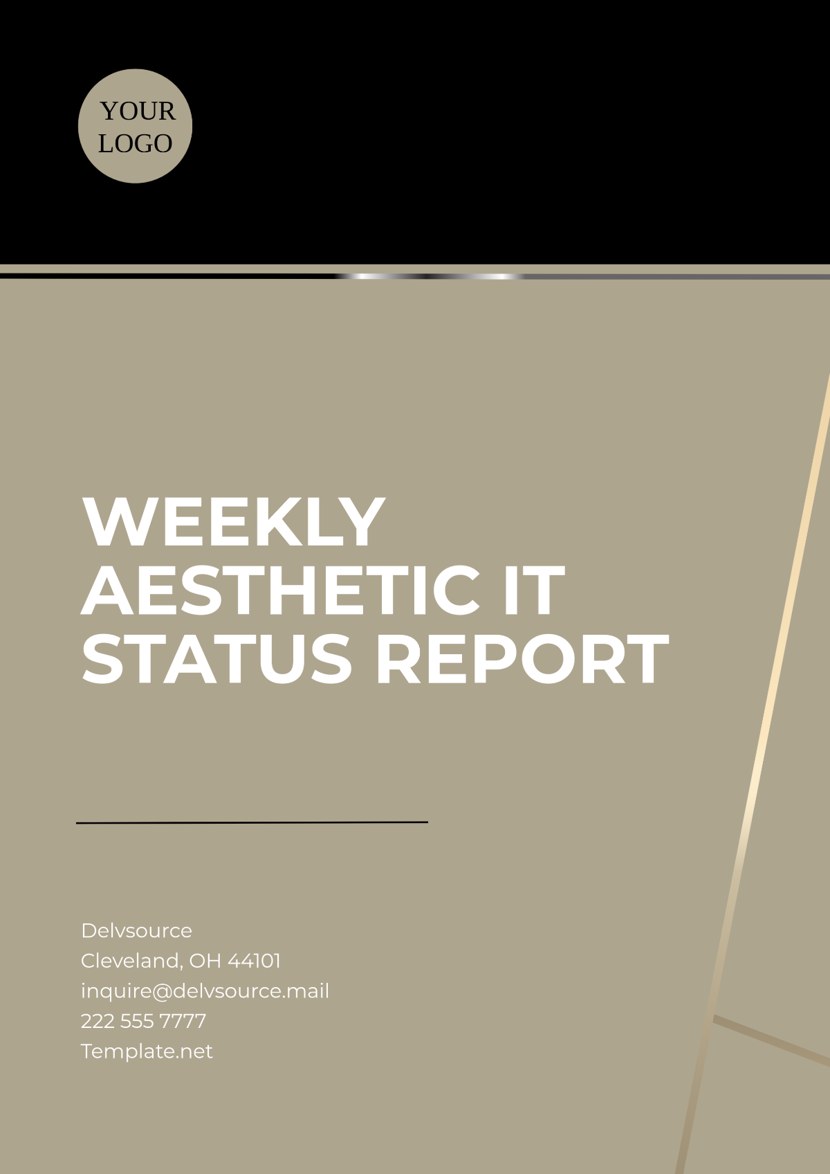 Weekly Aesthetic IT Status Report Template - Edit Online & Download