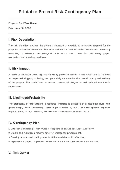 Free Printable Project Risk Contingency Template to Edit Online