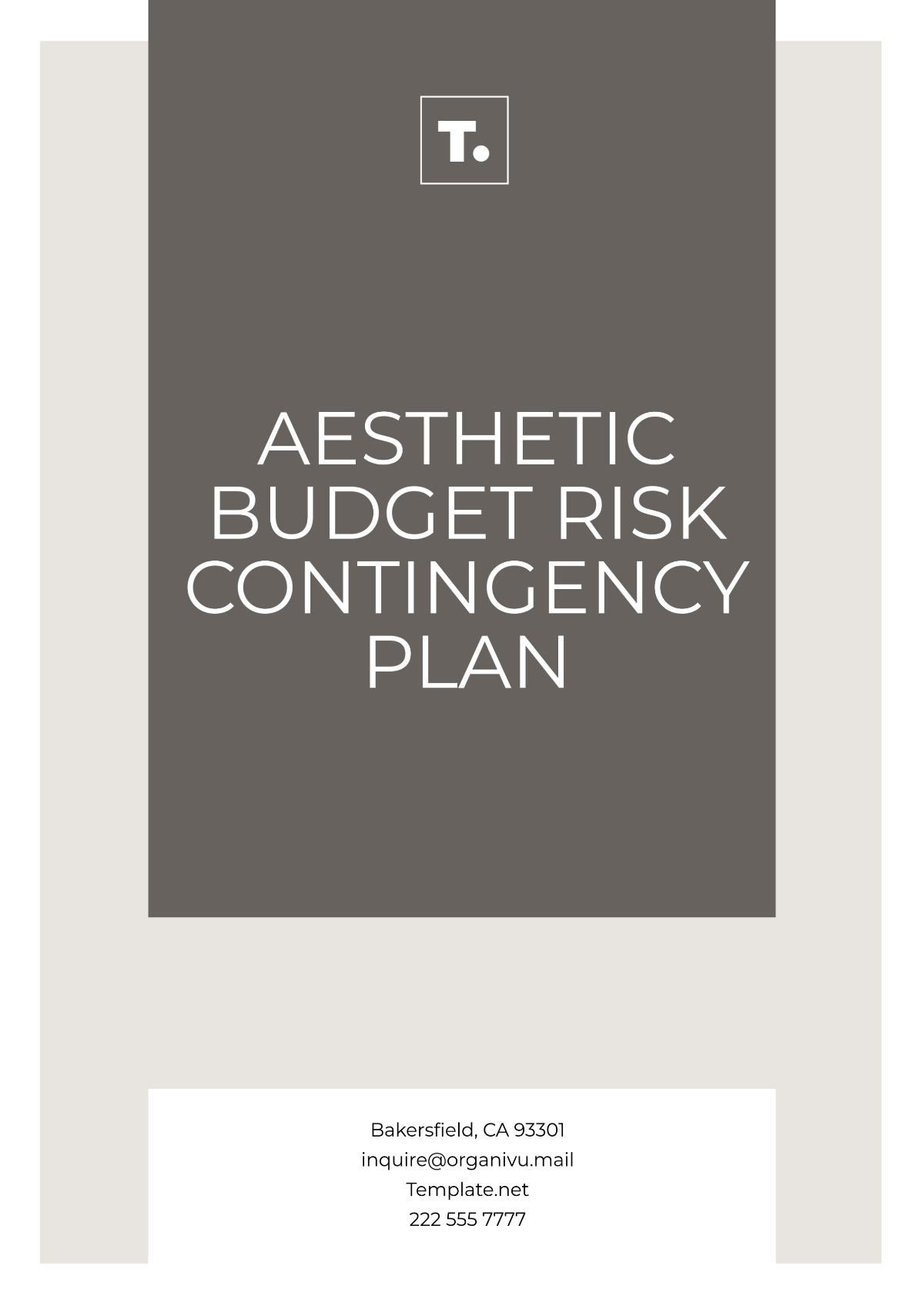 Aesthetic Budget Risk Contingency Plan Template - Edit Online & Download