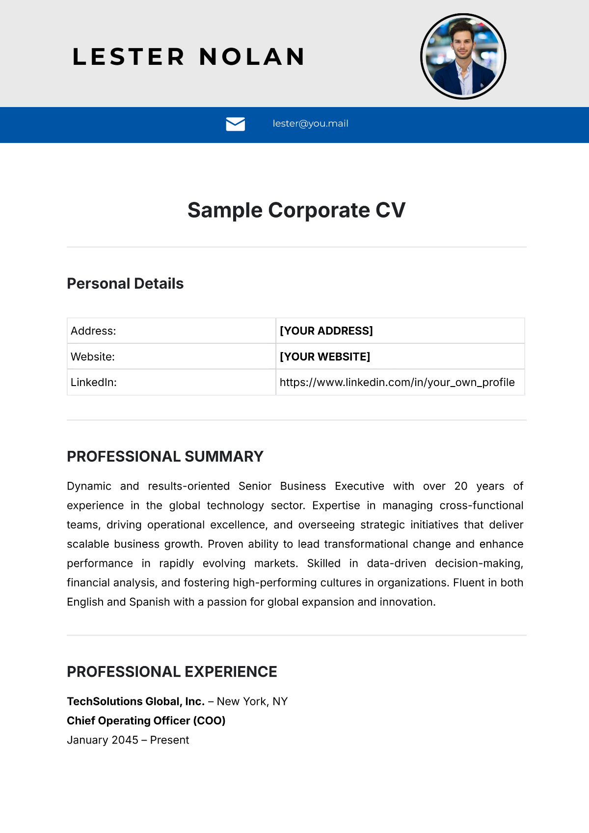 Sample Corporate CV Template - Edit Online & Download