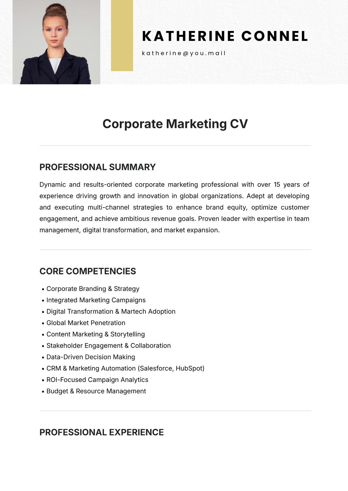 Corporate Marketing CV Template - Edit Online & Download