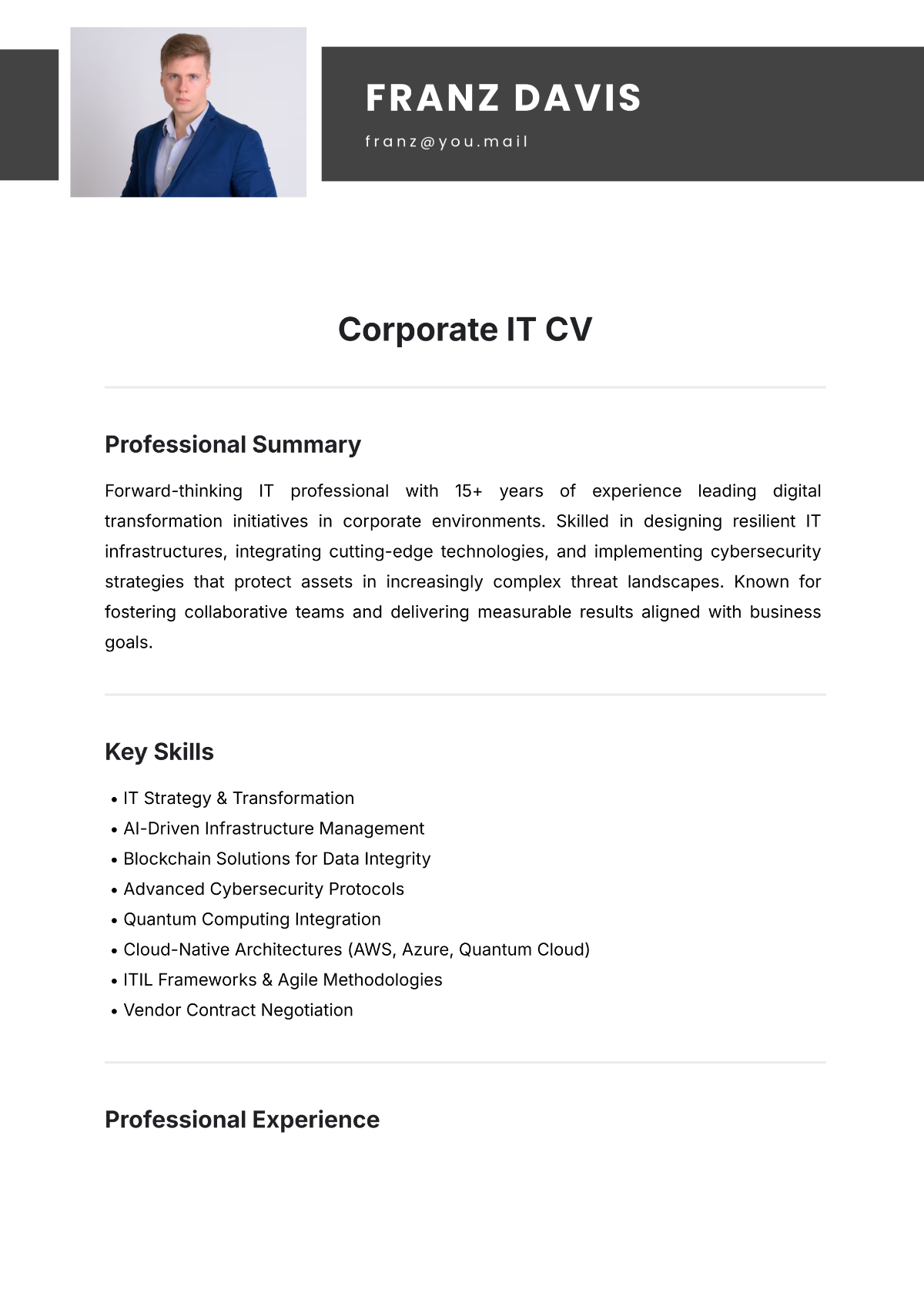 Corporate IT CV Template - Edit Online & Download