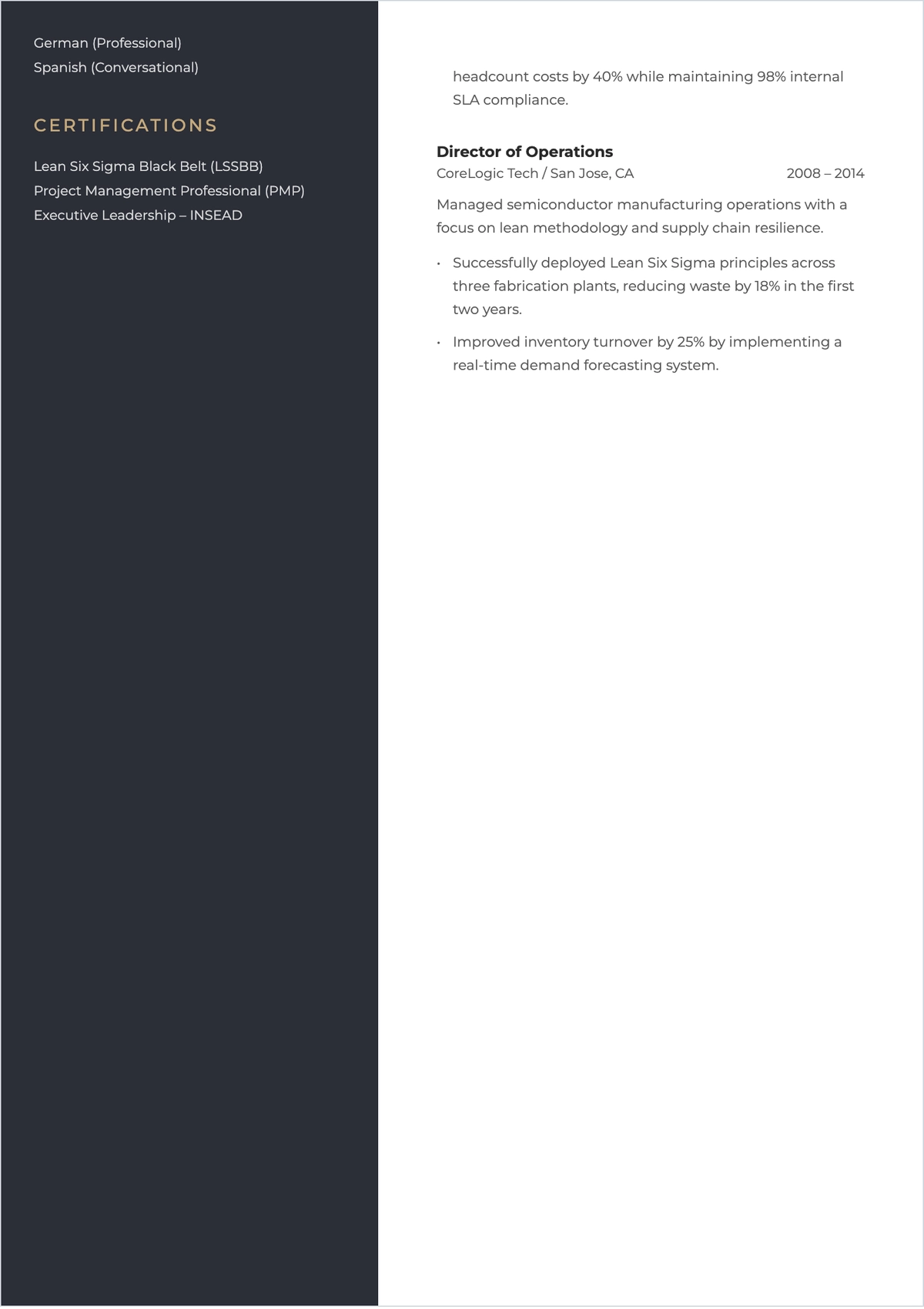 Free Senior Leadership ATS CV Template, AI CV Builder