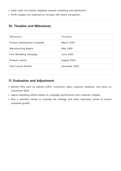 Free Product Launch Brand Action Plan Template to Edit Online