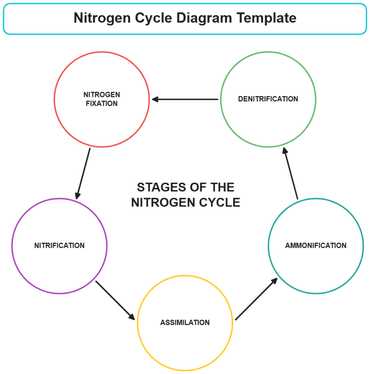 Nitrogen Cycle Diagram Template - Edit Online & Download