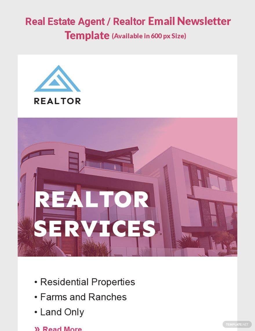 Real Estate Agent/Realtor Email Newsletter Template