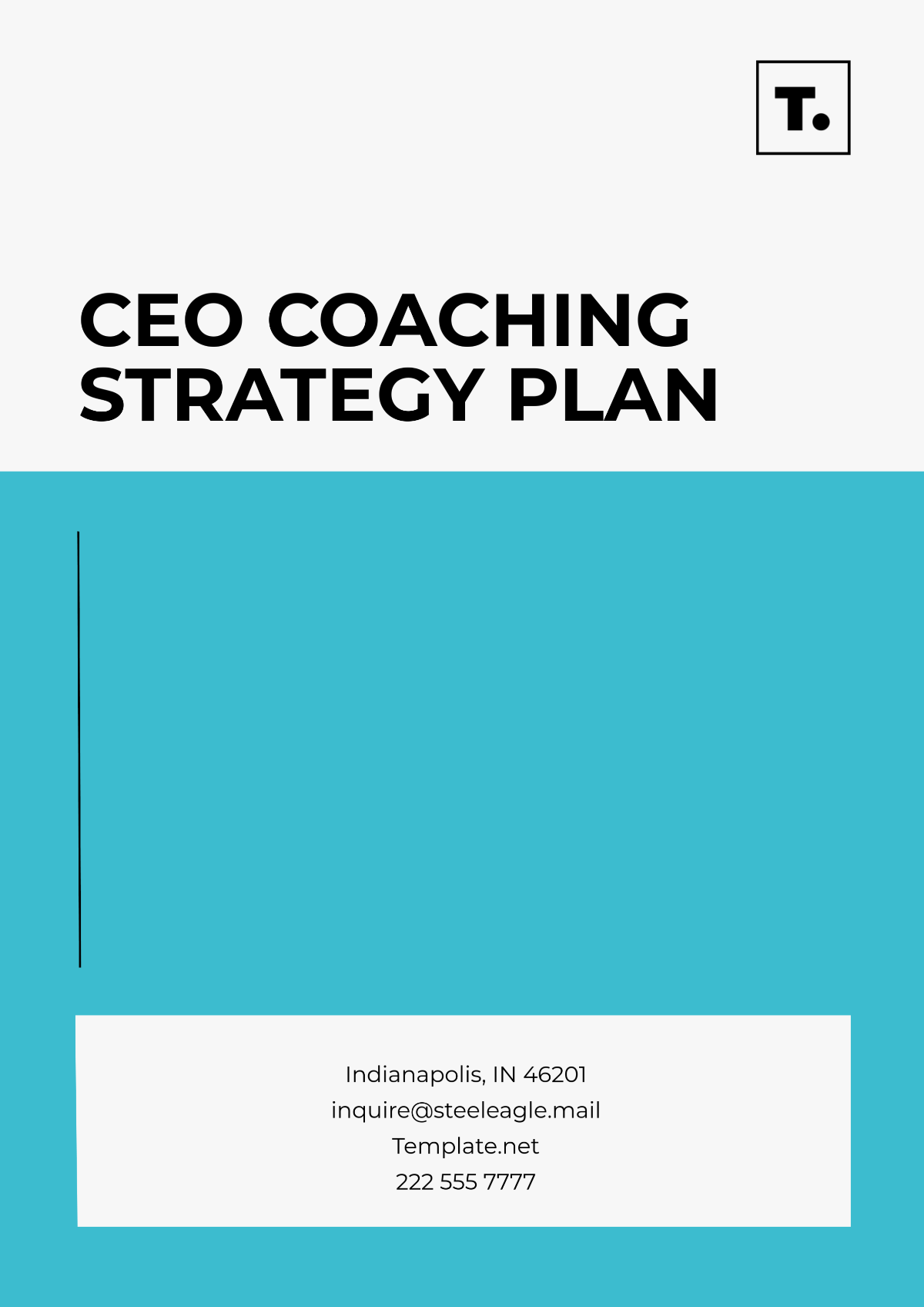 CEO Coaching Strategy Plan Template - Edit Online & Download