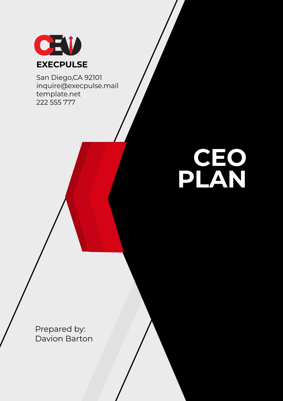 CEO Plan Template - Edit Online & Download