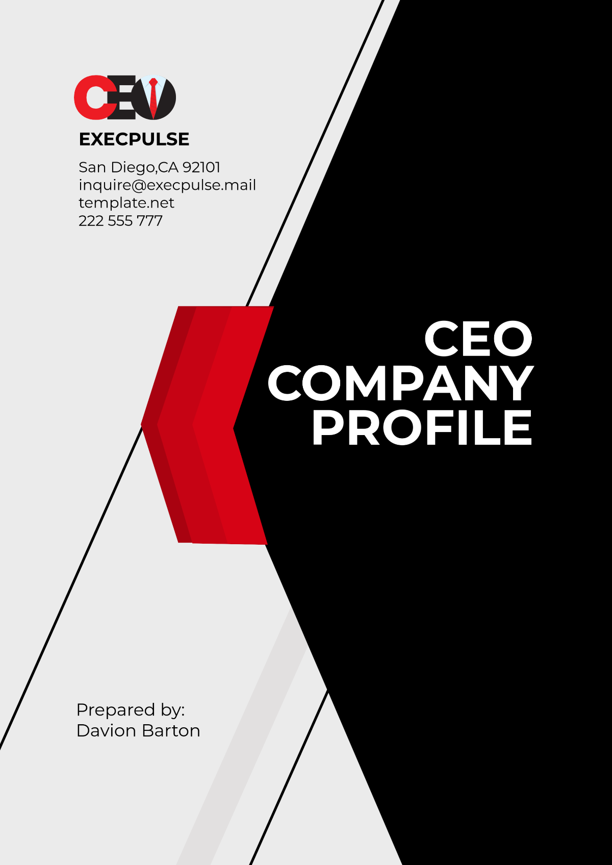 CEO Company Profile Template - Edit Online & Download