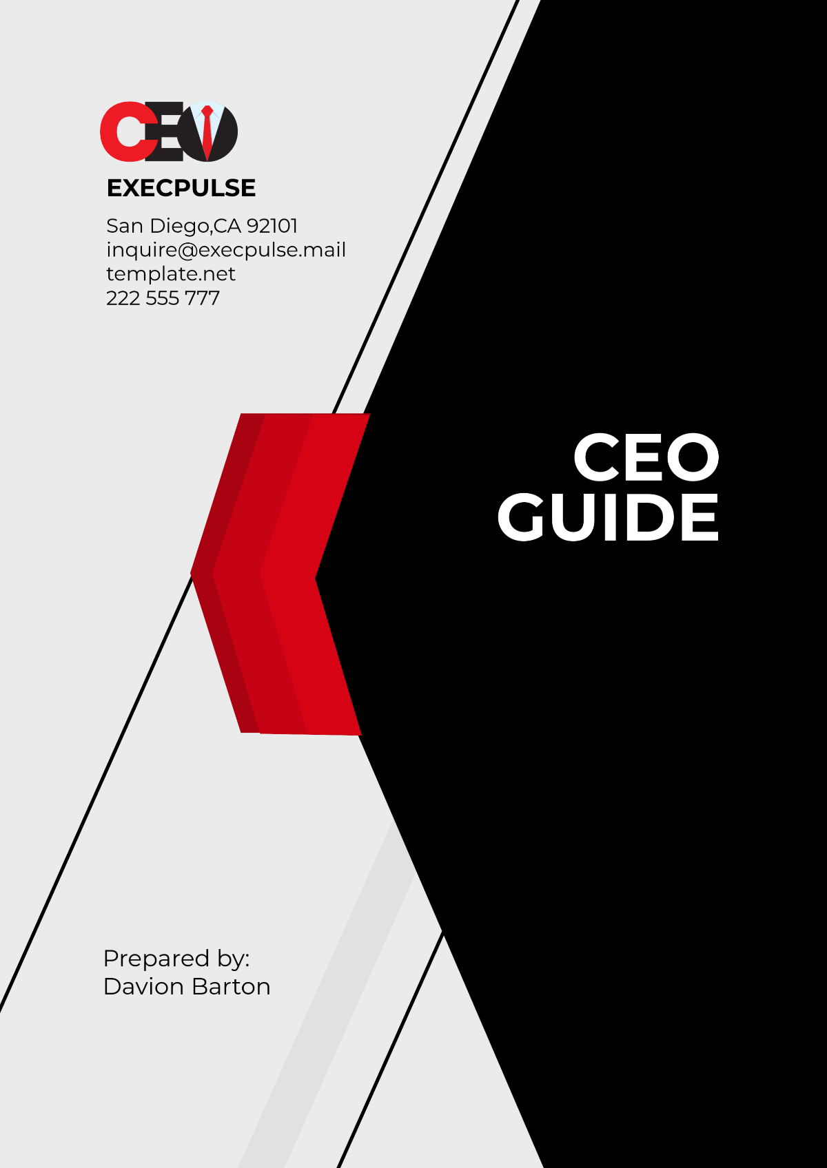 CEO Guide Template - Edit Online & Download