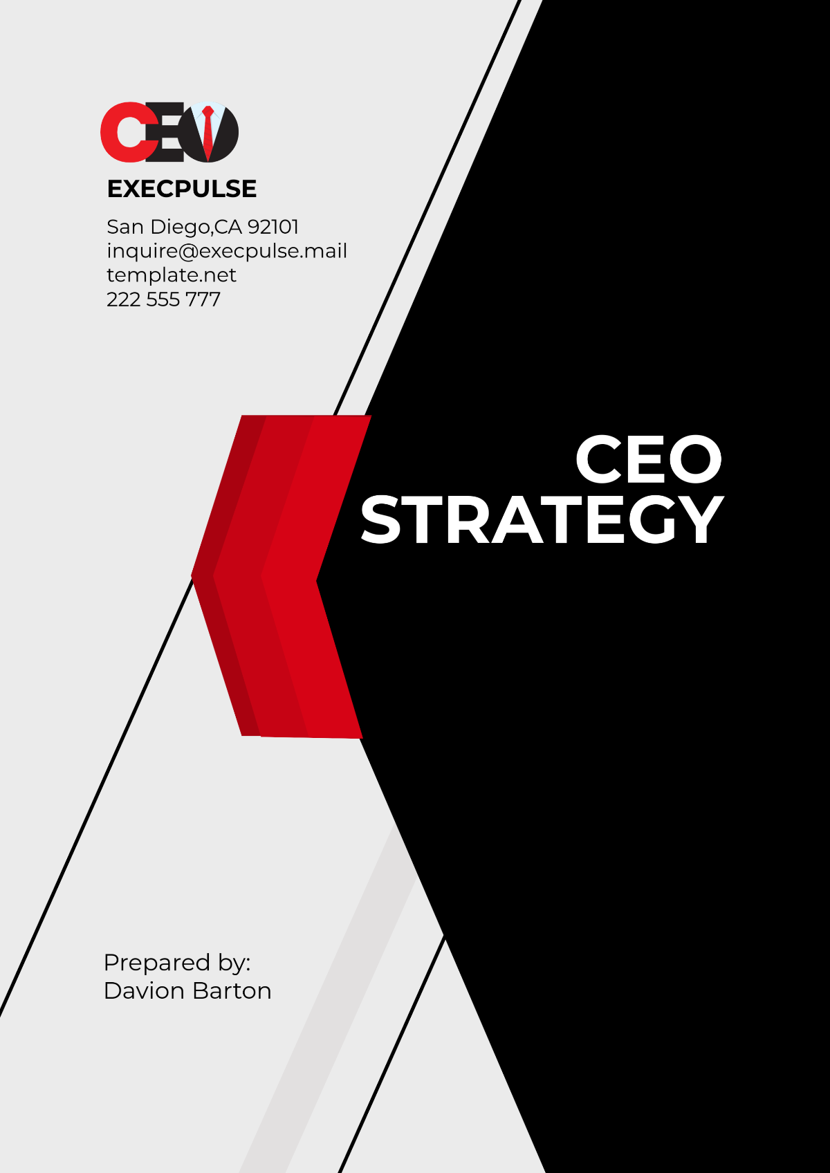 CEO Strategy Template - Edit Online & Download